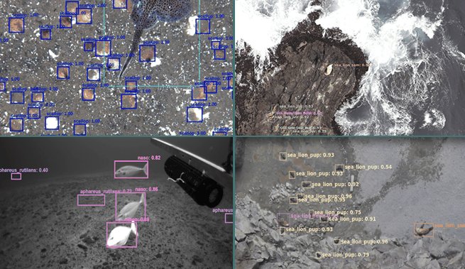 Capabilities object detection