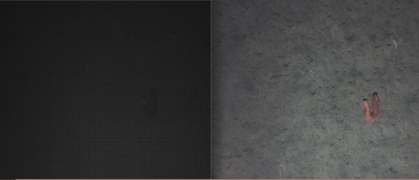 Color correct