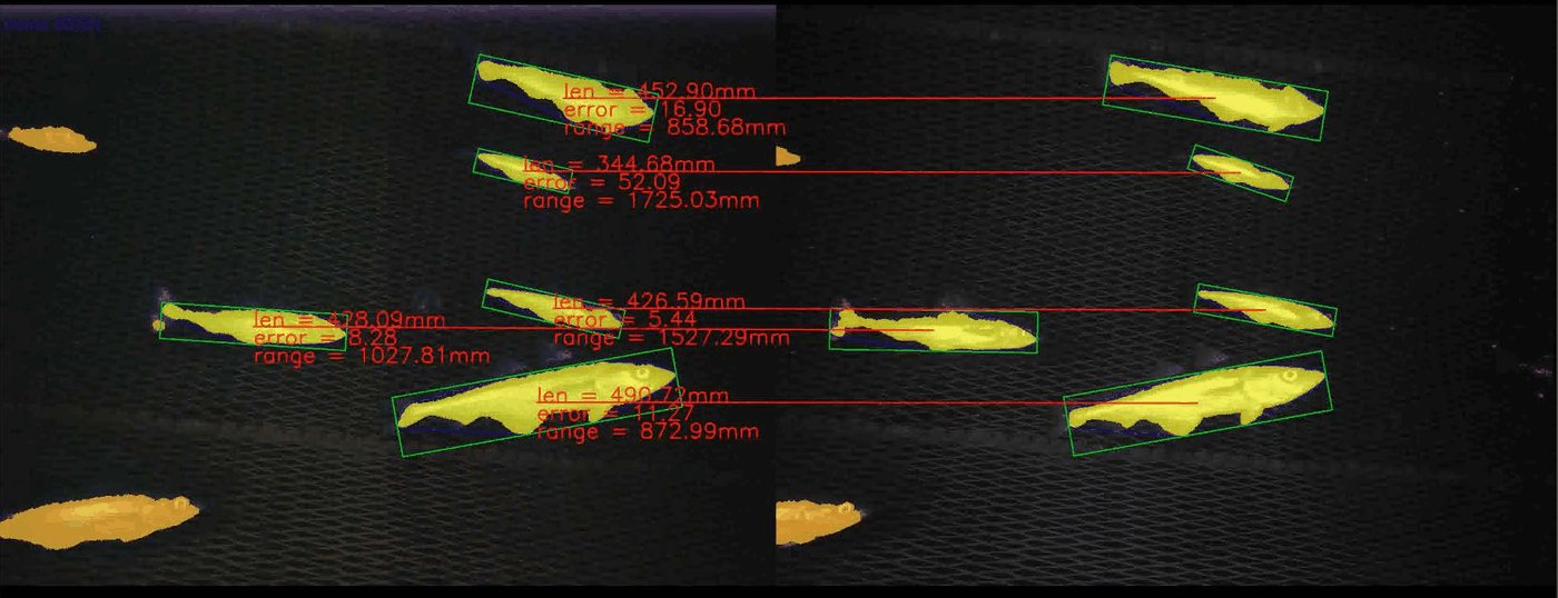 Fish measurement example